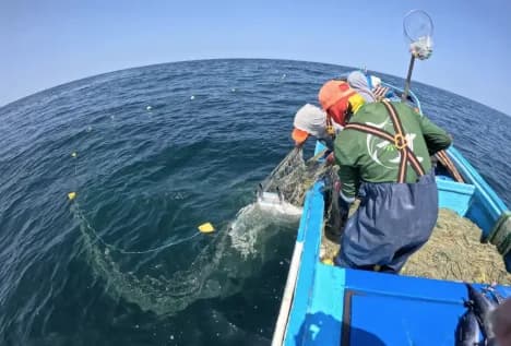 Crew working from a boat on open water