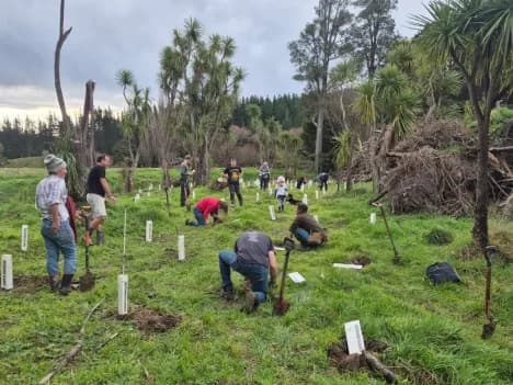 Volunteers planting trees in a restored woodland