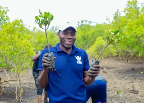 Steward holding mangrove seedlings