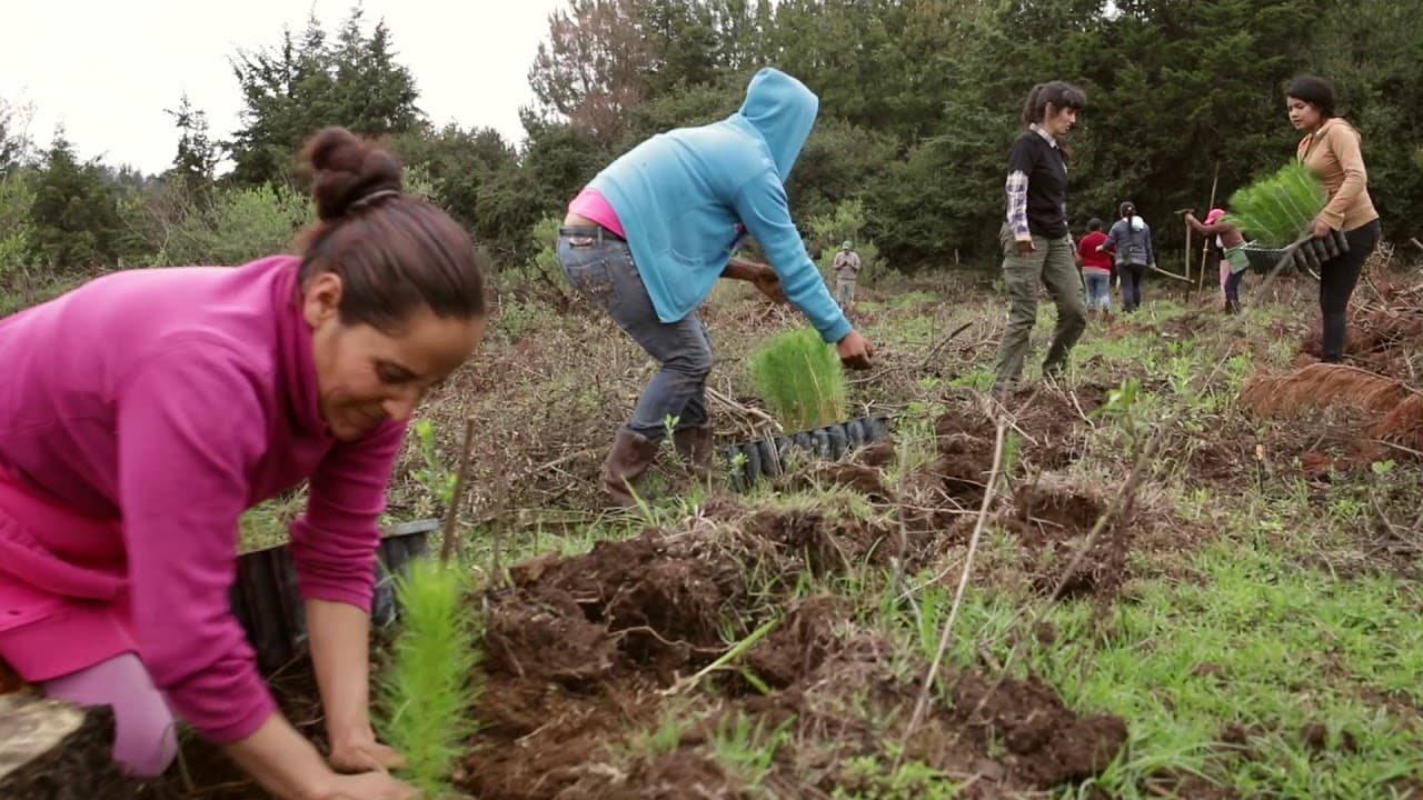 Project video