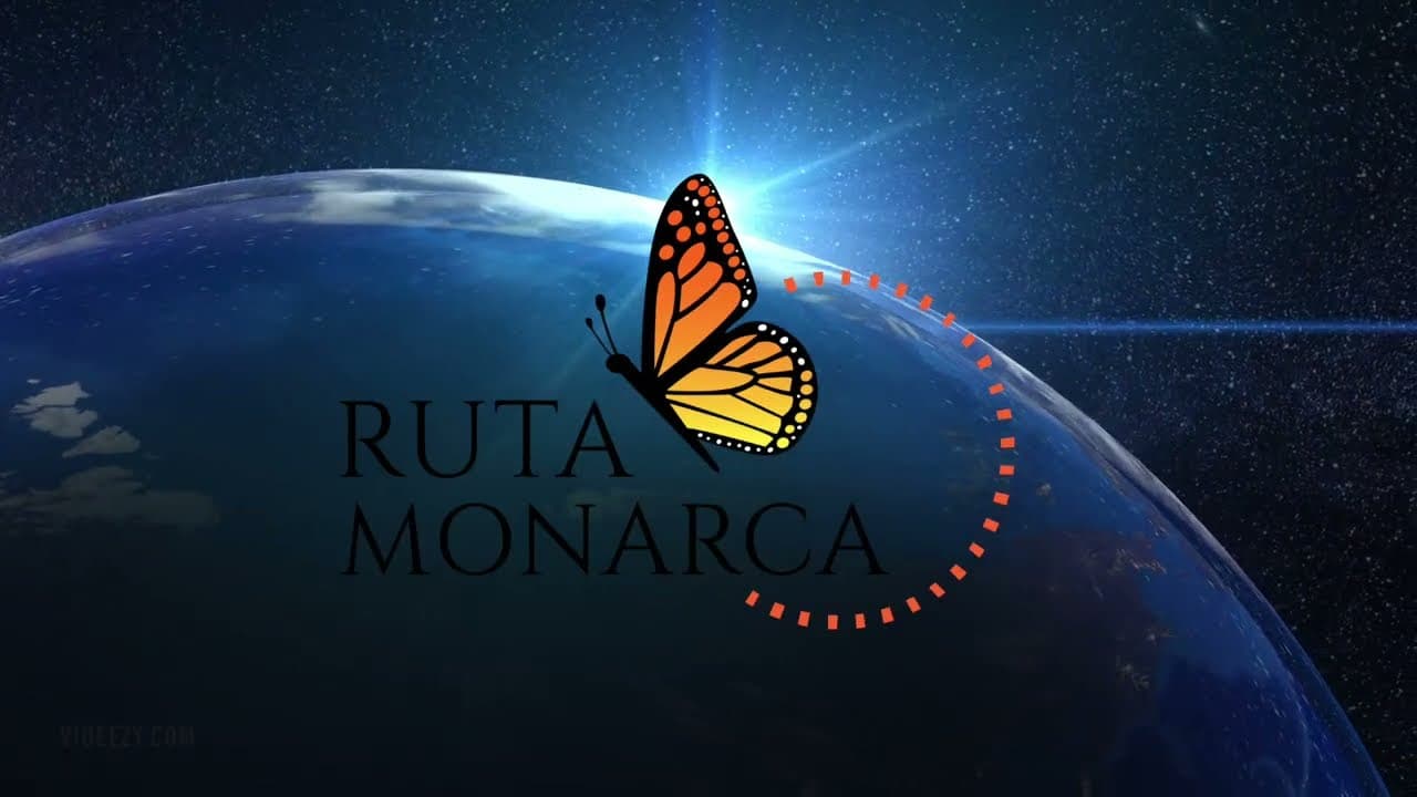 Project video