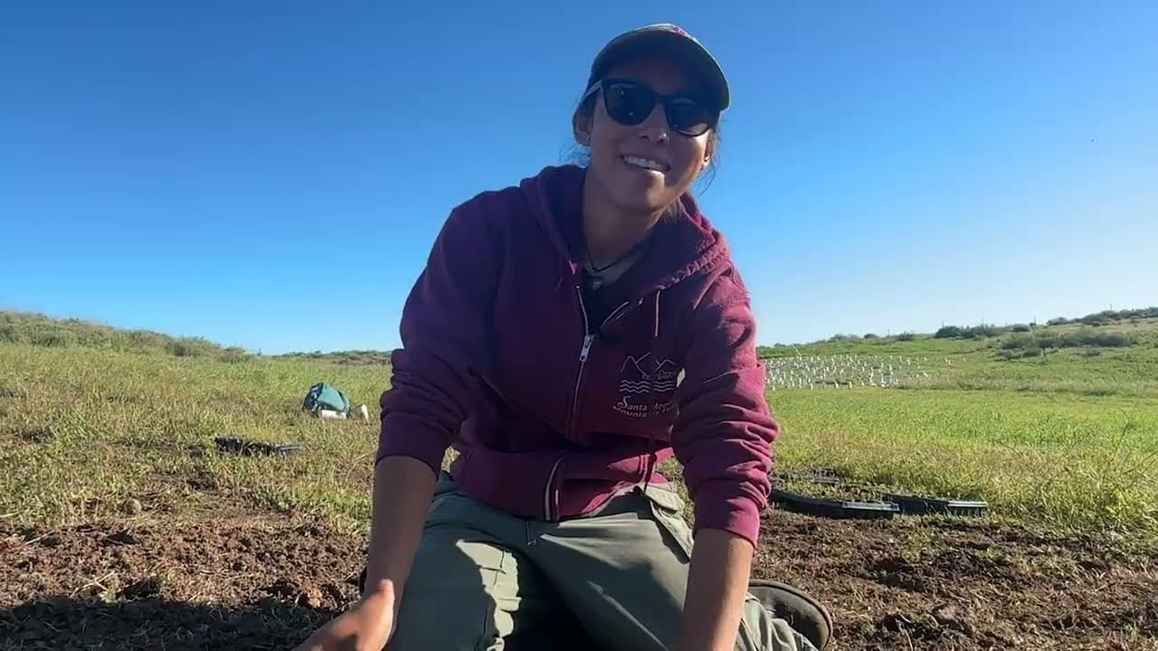 Project video