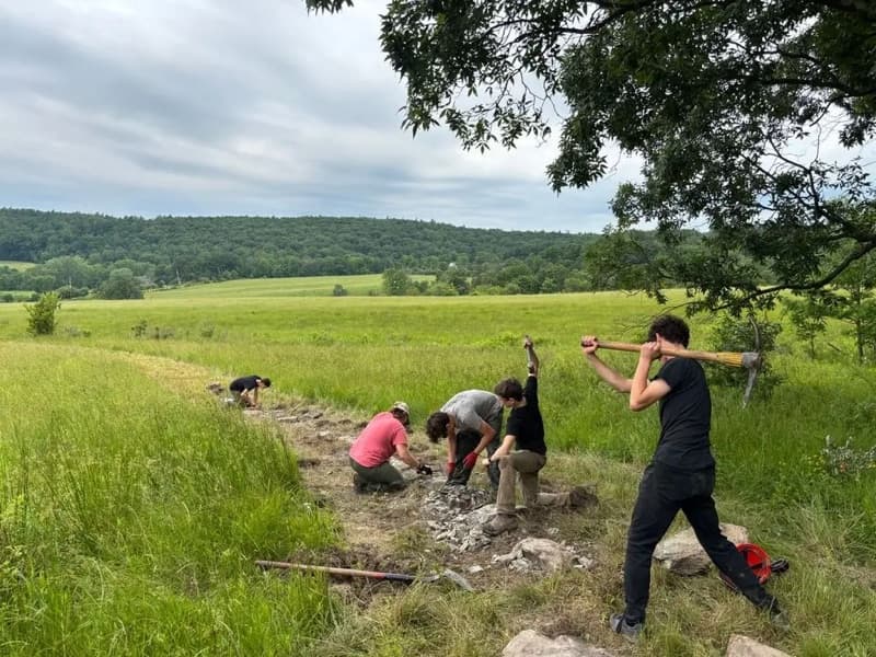 Community members surveying a restored hillside