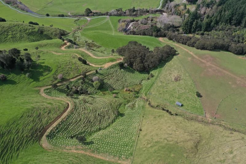 Aerial view of terraced regenerative farmland