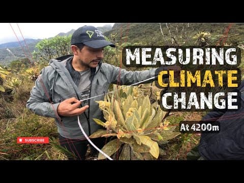 Páramo climate watch: Salento's biological island