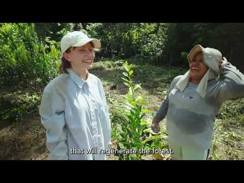 Living Chacras: Regenerating Land and Learning in the Peruvian Amazon