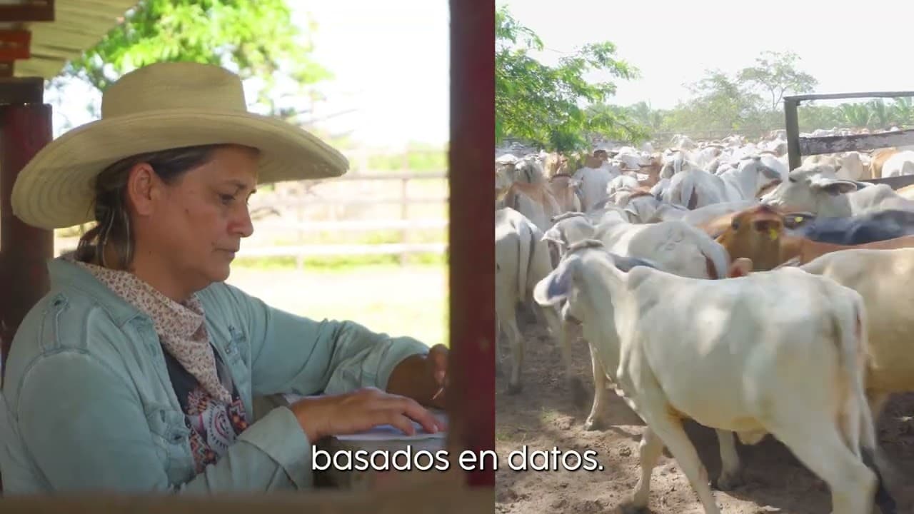Project video