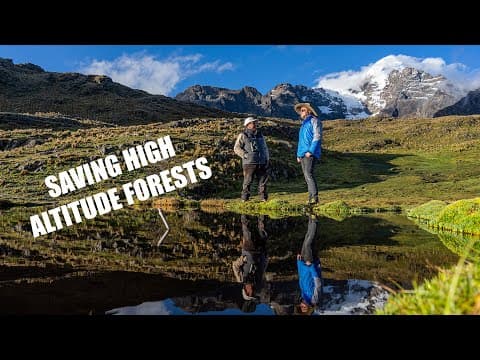 Acción Andina: Continental Ecosystem Restoration