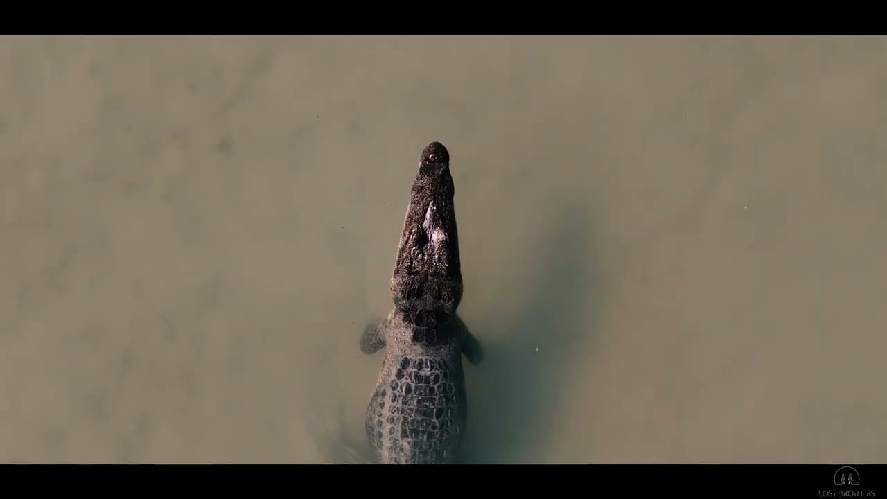 Project video