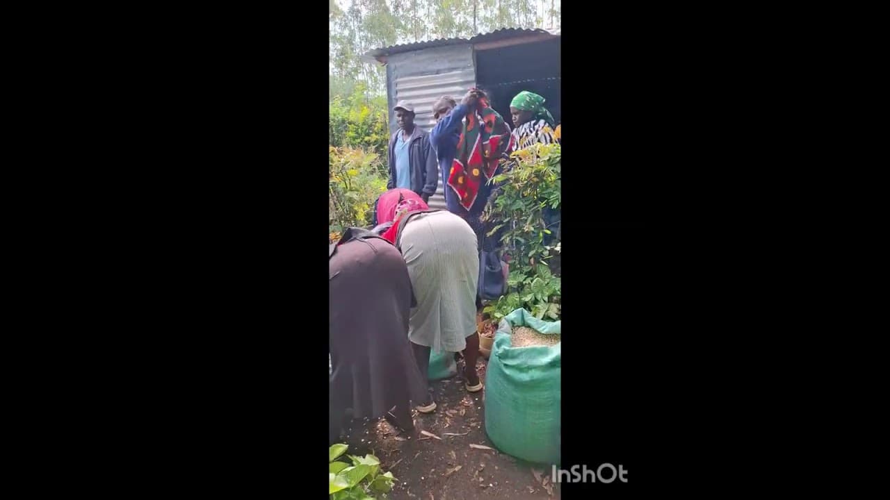 Project video