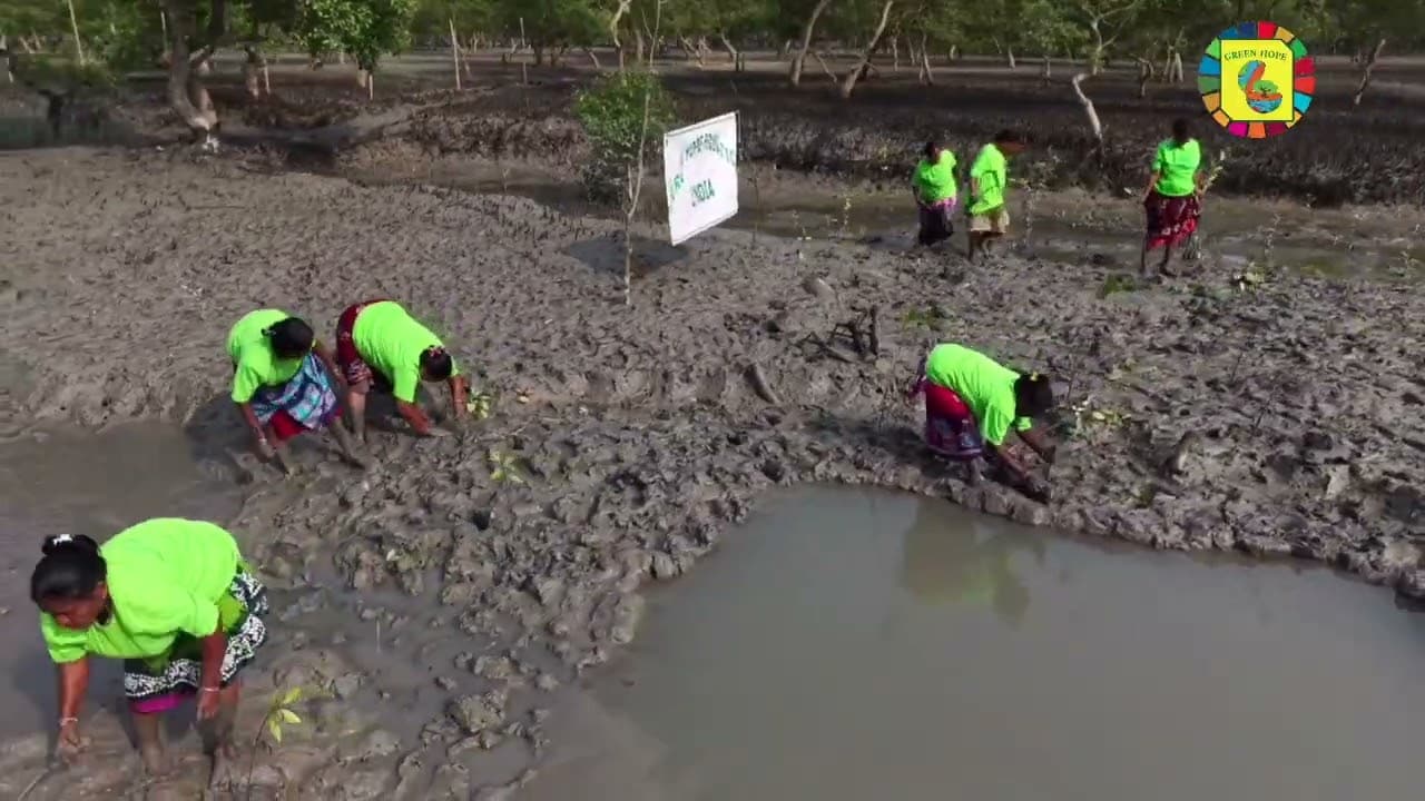 Project video